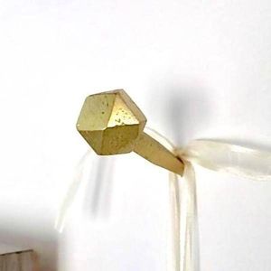 One Forged Iron Brass Round Head Nail